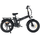 WINDGOO F21 PRO 20" Folding Electric Bike 250W Motor 48V 12.5Ah Battery